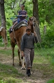 SFaire_4-2017 (15)